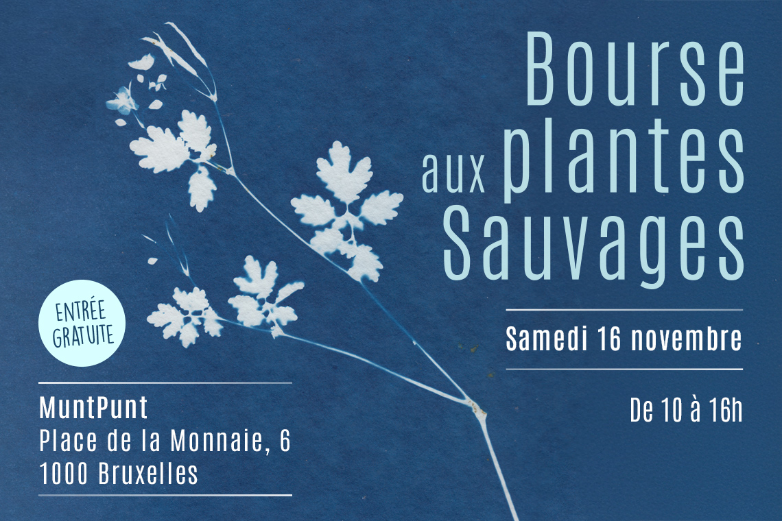 Visuel de la Bourse aux plantes sauvages de Natagora