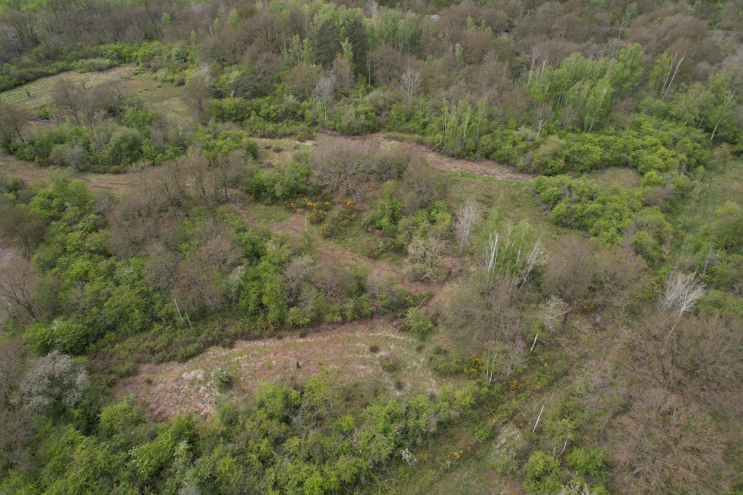 Photo aérienne de la lande à bruyères historique de la réserve naturelle natagora du Baquet à Doische