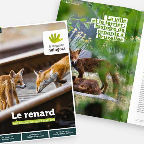 6 MAGAZINES PAR AN