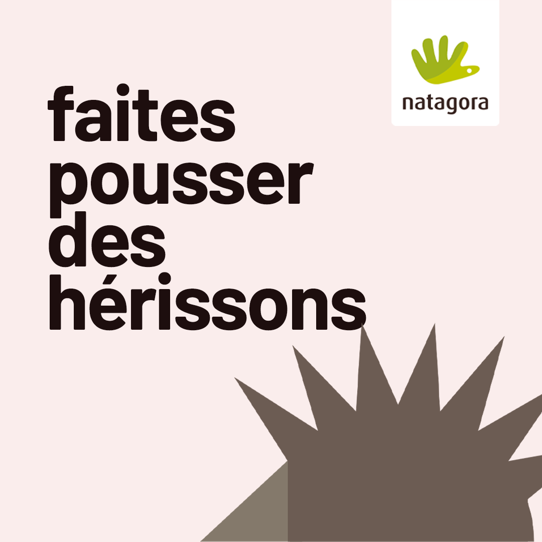 Faites pousser des hérissons