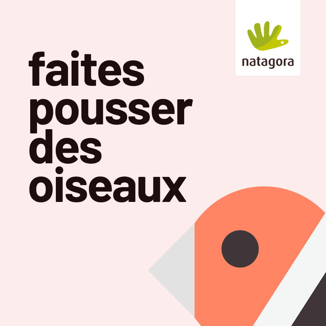 Faites pousser des oiseaux