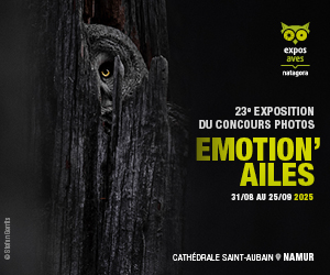 23ème Expo Photos Emotion'Ailes 