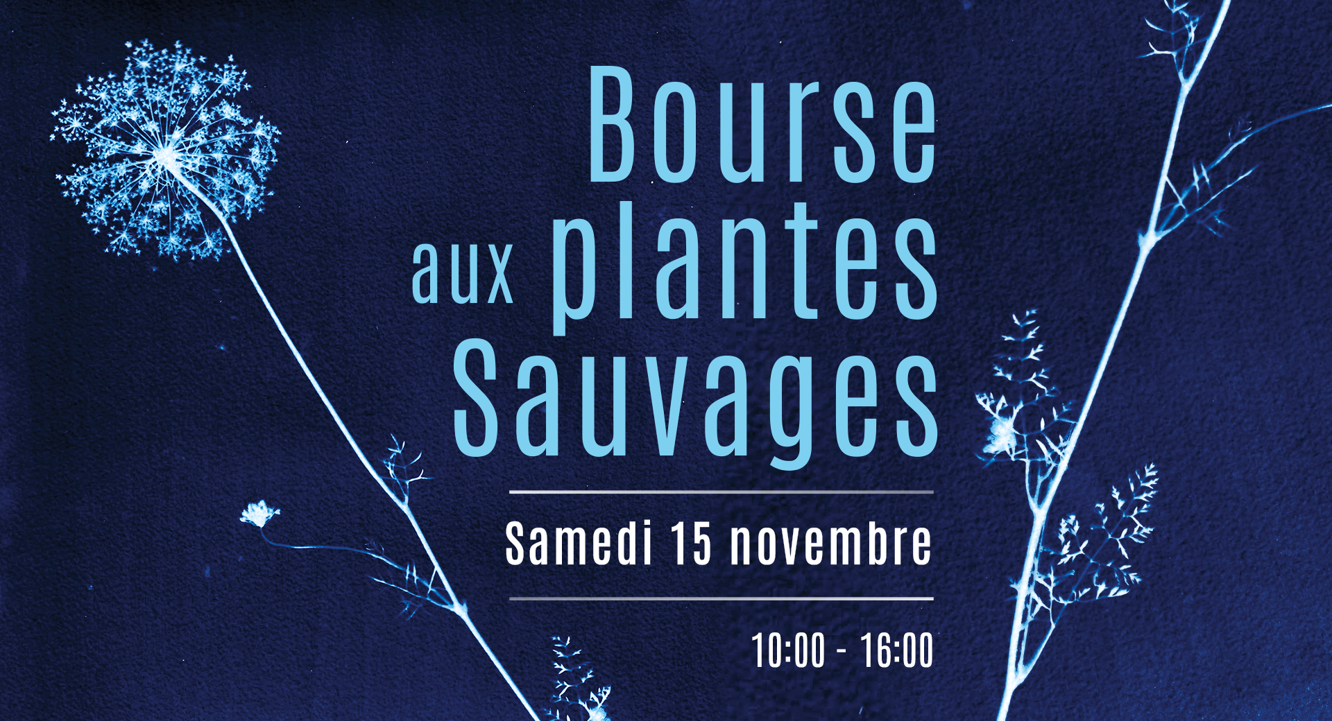 La Bourse aux Plantes Sauvages de Natagora