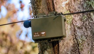 enregistreur acoustique pour recenser les chauve souris
