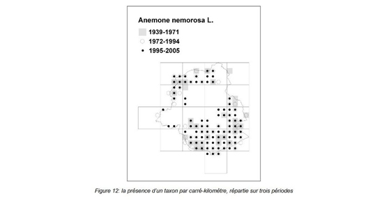 Carte de répartition de l’anémone Sylvie en Région de Bruxelles-Capitale (Allemeersch Luc, 2006)