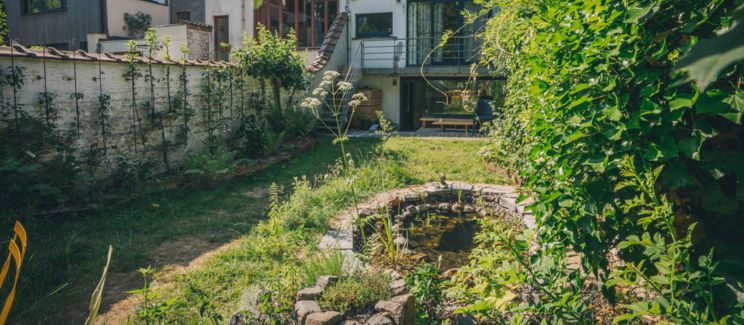 Jardin naturel