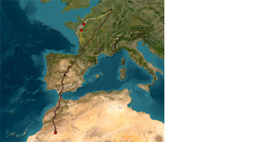 Cartographie des déplacements de trois des cigognes noires surveillées dans le cadre du projet