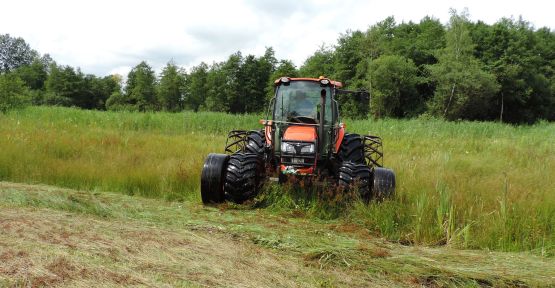 Tracteur en pleine fauche