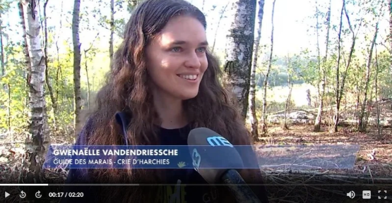 Reportage TéléSambre