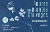 Visuel de la Bourse aux plantes sauvages de Natagora