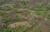 Photo aérienne de la lande à bruyères historique de la réserve naturelle natagora du Baquet à Doische