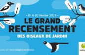 Le Grand Recensement des oiseaux de jardin