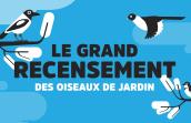 Le Grand Recensement des oiseaux de jardin