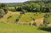 Vallon du Wayot au printemps