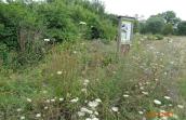 Prairie fleurie au site Biodibap de Chanly