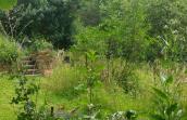 Le jardin à découvrir