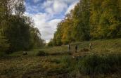 Vallée de la Bacquelaine, fauchage de fin d'été