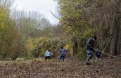 Dernières fauches avant l'hiver