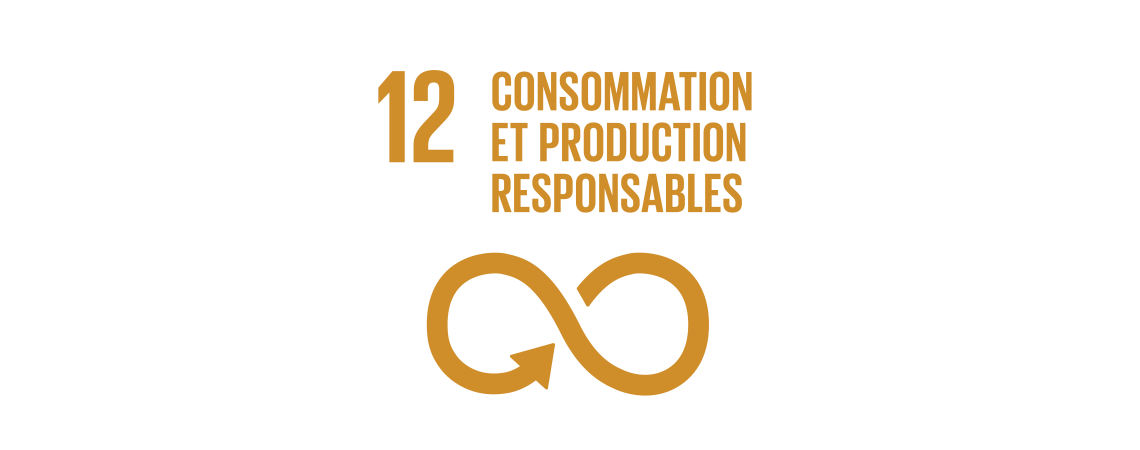 Logo des objectifs de développement durable : consommation et production responsables