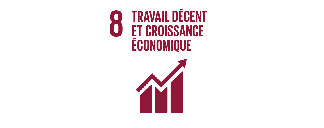 Logo des objectifs de développement durable : travail décent et croissance économique