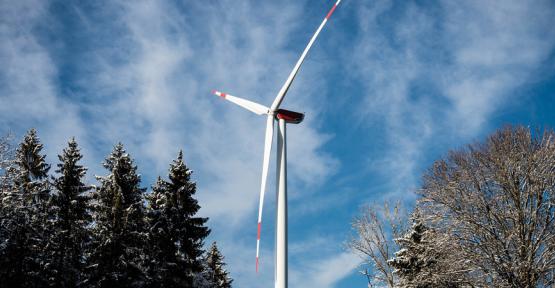 Éolienne en forêt - Ferdinand Stohr