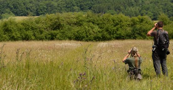 Deux personnes observant les oiseaux à la jumelle dans un champ