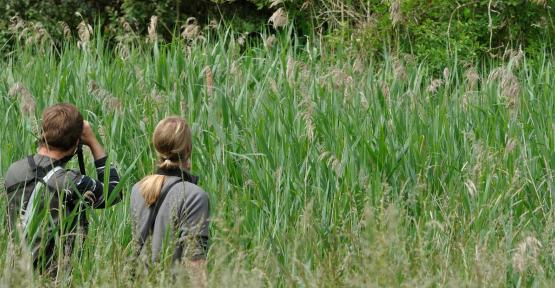 Observation dans une réserve Natagora