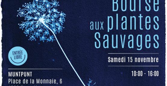 Bourse aux plantes sauvages 2025