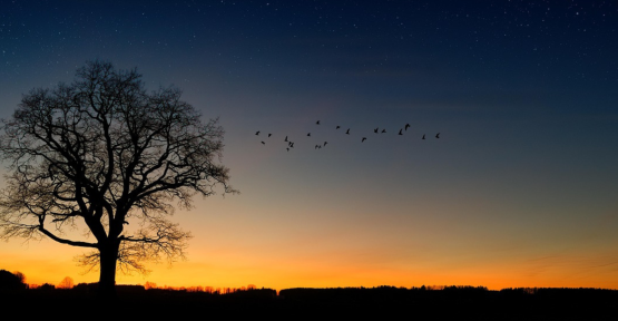 appel à préserver la nuit