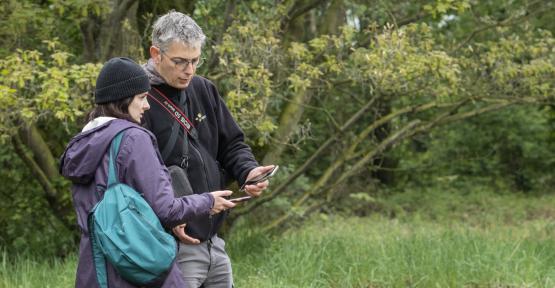 Natagora cherche un ou une stagiaire pour effectuer un bilan écologique espèces/habitats et connectivité des habitats dans le cadre du projet LIFE Vallées Atlantiques (H/F/X)
