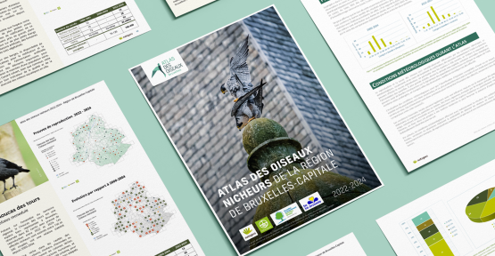 Couverture de l'Atlas des oiseaux nicheurs de Bruxelles-Capitale
