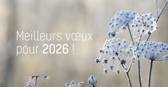 Meilleurs vœux pour 2026