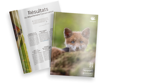 Résultats et rapports annuels