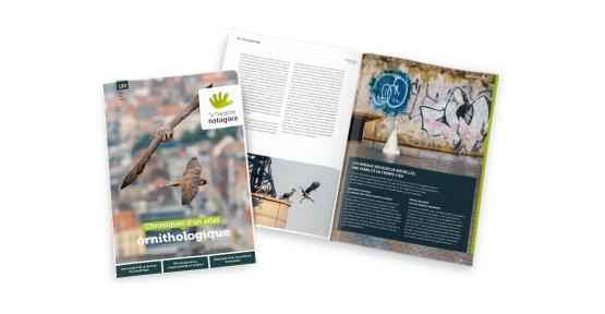 Le magazine Natagora n°130 : Chroniques d'un atlas ornithologique