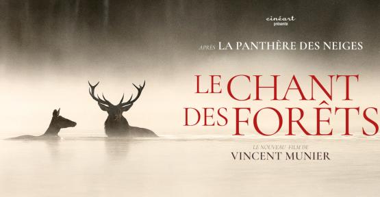 Affiche du film "Le chant des forêt" de Vincent Munier