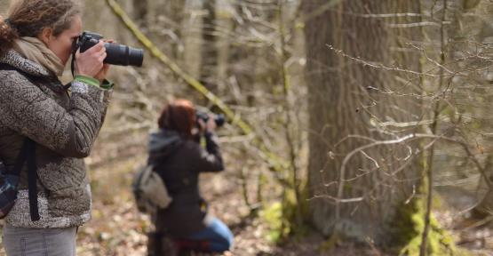 Sorties sur le terrain