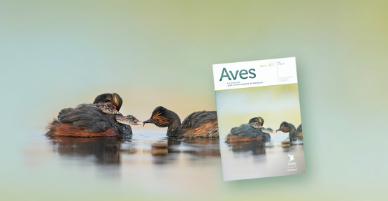AVES numéro spécial ethologie oiseaux