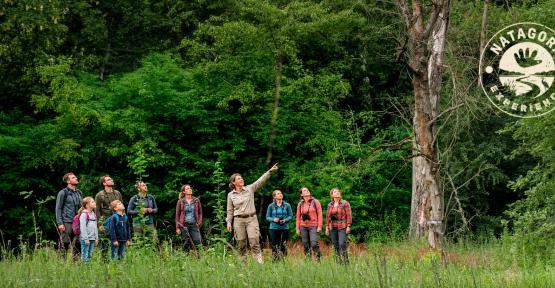 Groupe de personnes en réserve naturelle qui observe un magnifique arbre mort sur pied