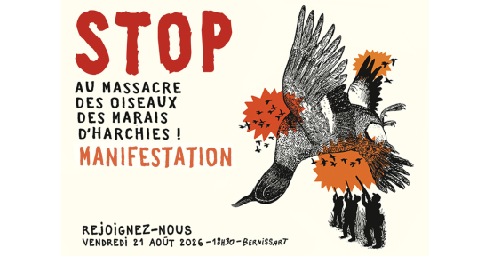 Massacre Harchies