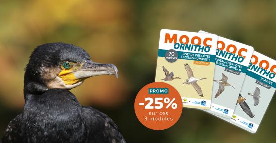 Couverture des 3 modules en promo