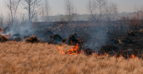 Hautes Fagnes en feu