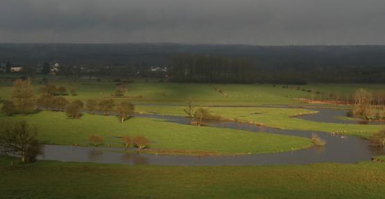 Vallée de la Semois
