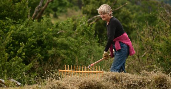 Femme en train de rassembler le foin d'une fauche