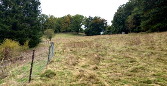 Clôtures pour pâturage ovin sur la réserve naturelle du Thier d’Ozo