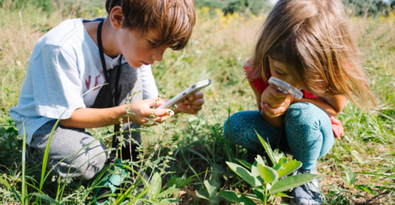 Enfants observant la nature à la loupe dans une prairie