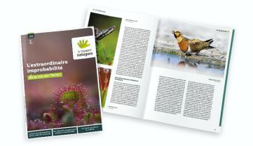 Le magazine Natagora n°126 - L'extraordinaire improbabilité de la vie sur Terre !