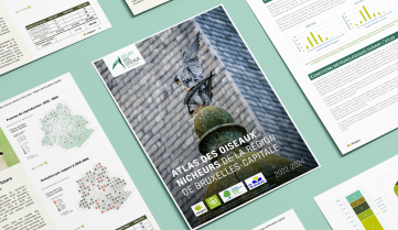 Couverture de l'Atlas des oiseaux nicheurs de Bruxelles-Capitale