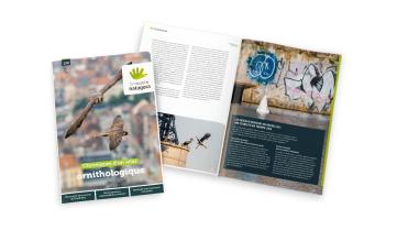 Le magazine Natagora n°130 : Chroniques d'un atlas ornithologique
