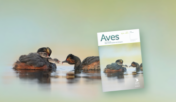 AVES numéro spécial ethologie oiseaux