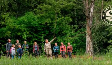 Groupe de personnes en réserve naturelle qui observe un magnifique arbre mort sur pied
